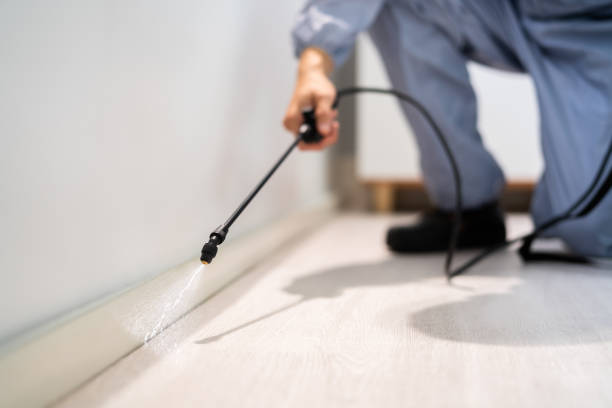 Licensed Pest Control service in China Grove, NC - Show Me Pest Control